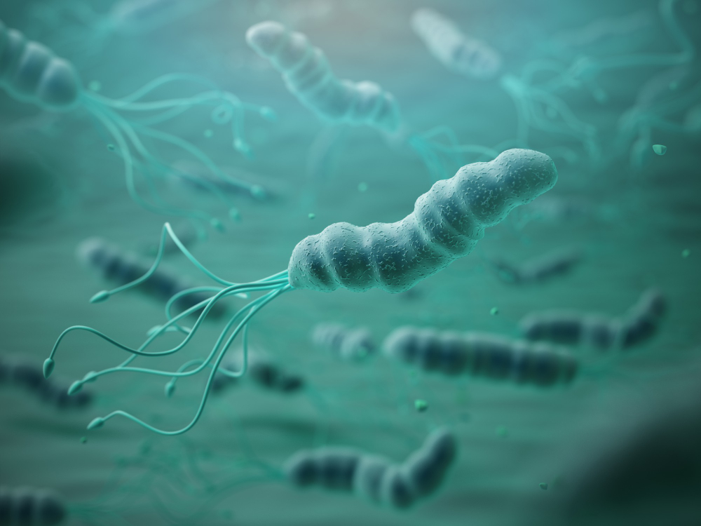Kas yra Helicobacter pylori?